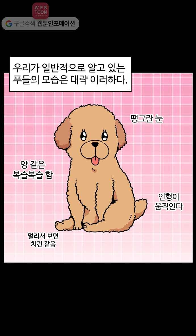 노곤하개 9화 푸들은 무시무시하다 2