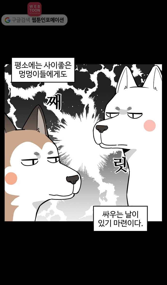 노곤하개 19화 멍멍이도 싸운다 2