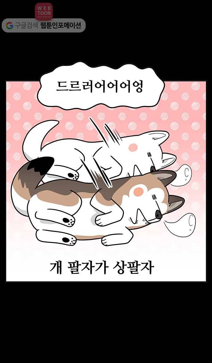 노곤하개 시즌2 프롤로그 11