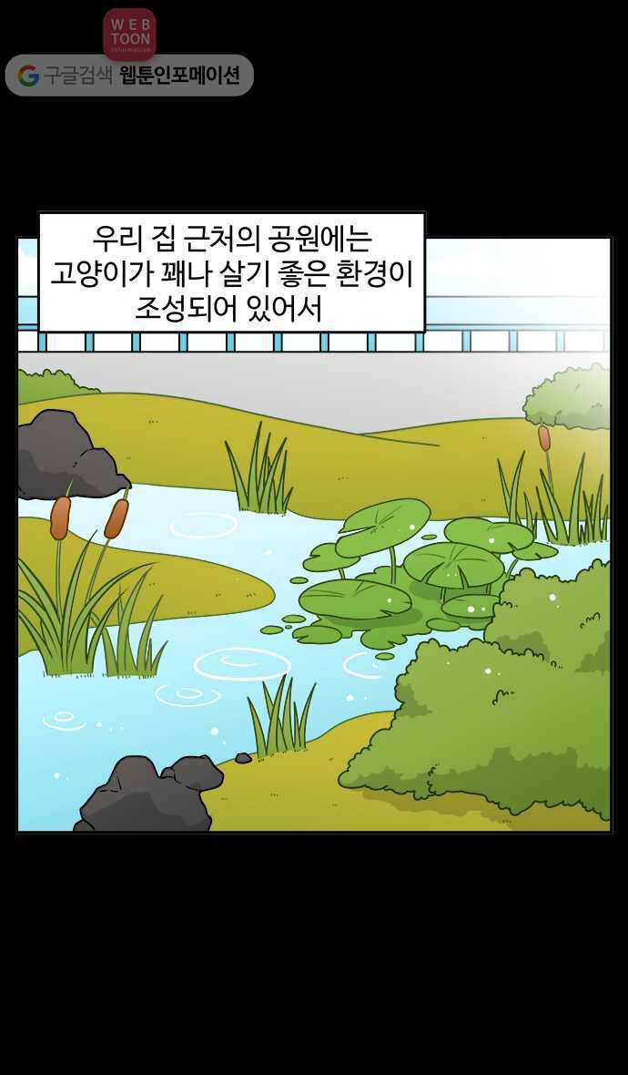 노곤하개 시즌2 7화 도시공원의 고양이들 2