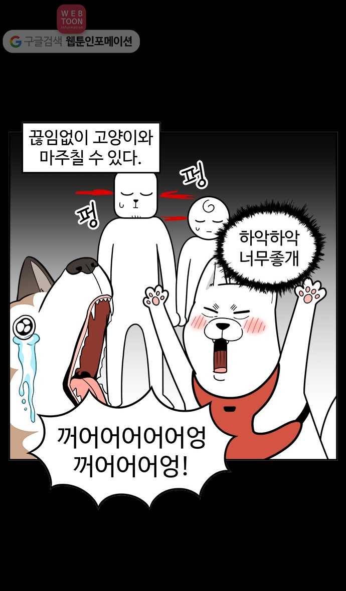 노곤하개 시즌2 7화 도시공원의 고양이들 3