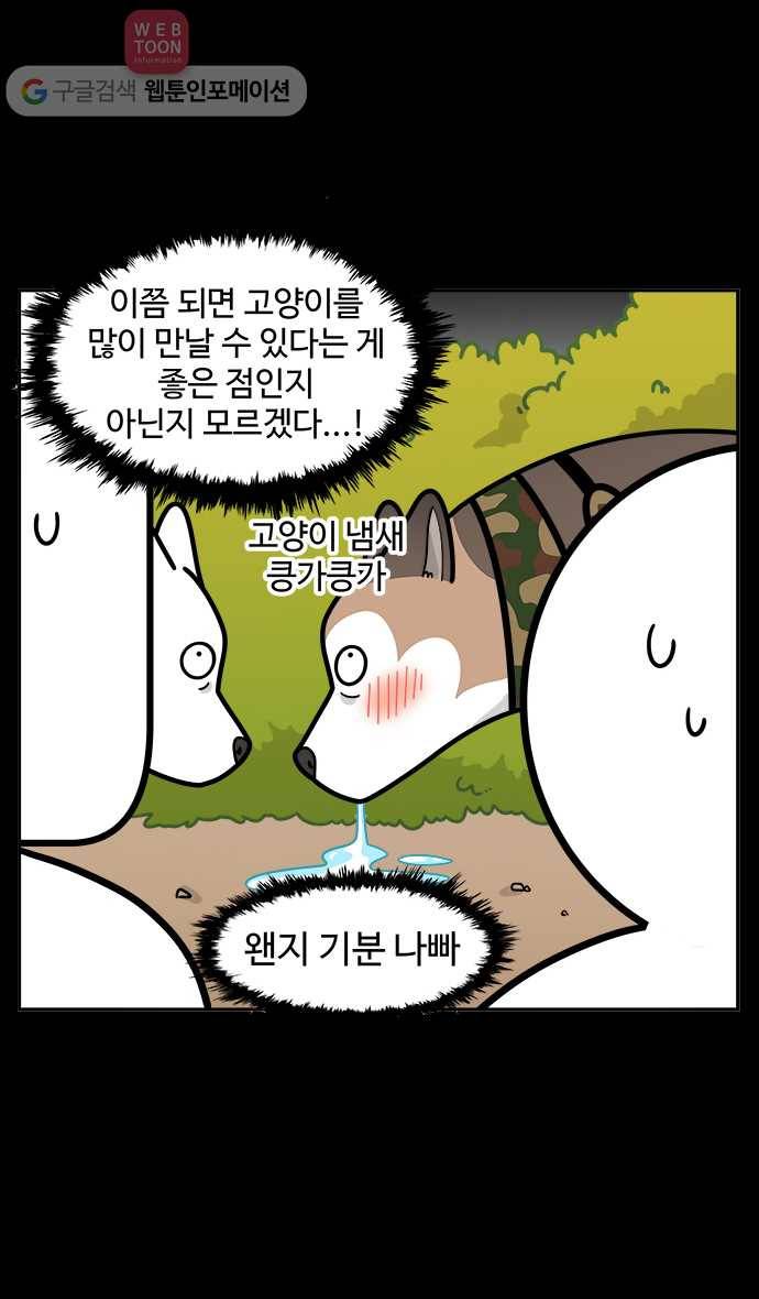 노곤하개 시즌2 7화 도시공원의 고양이들 4