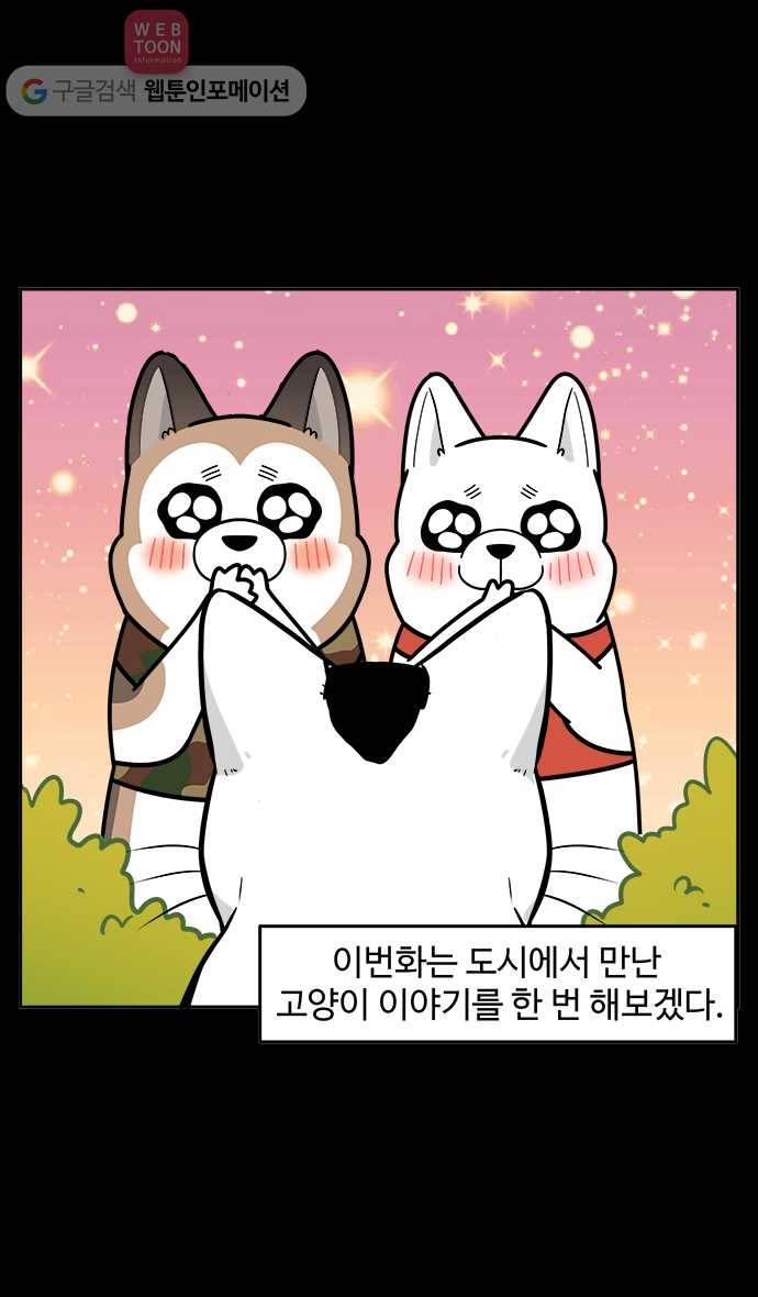 노곤하개 시즌2 7화 도시공원의 고양이들 5