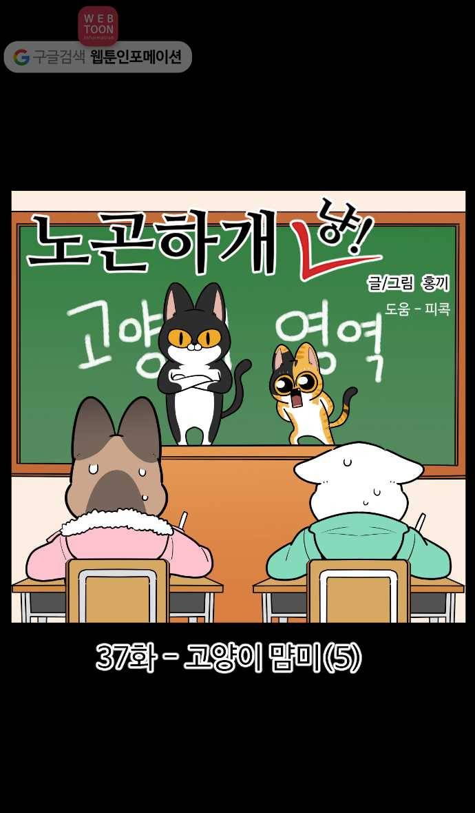 노곤하개 시즌2 37화 고양이 먐미 (5) 1