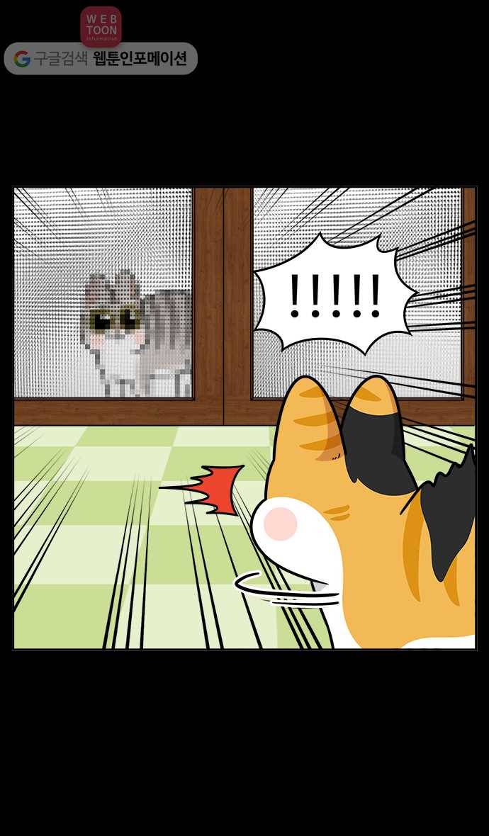 노곤하개 시즌2 37화 고양이 먐미 (5) 3