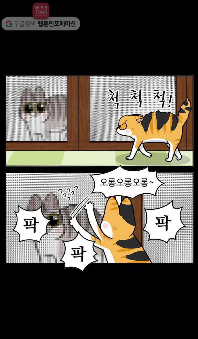 노곤하개 시즌2 37화 고양이 먐미 (5) 4