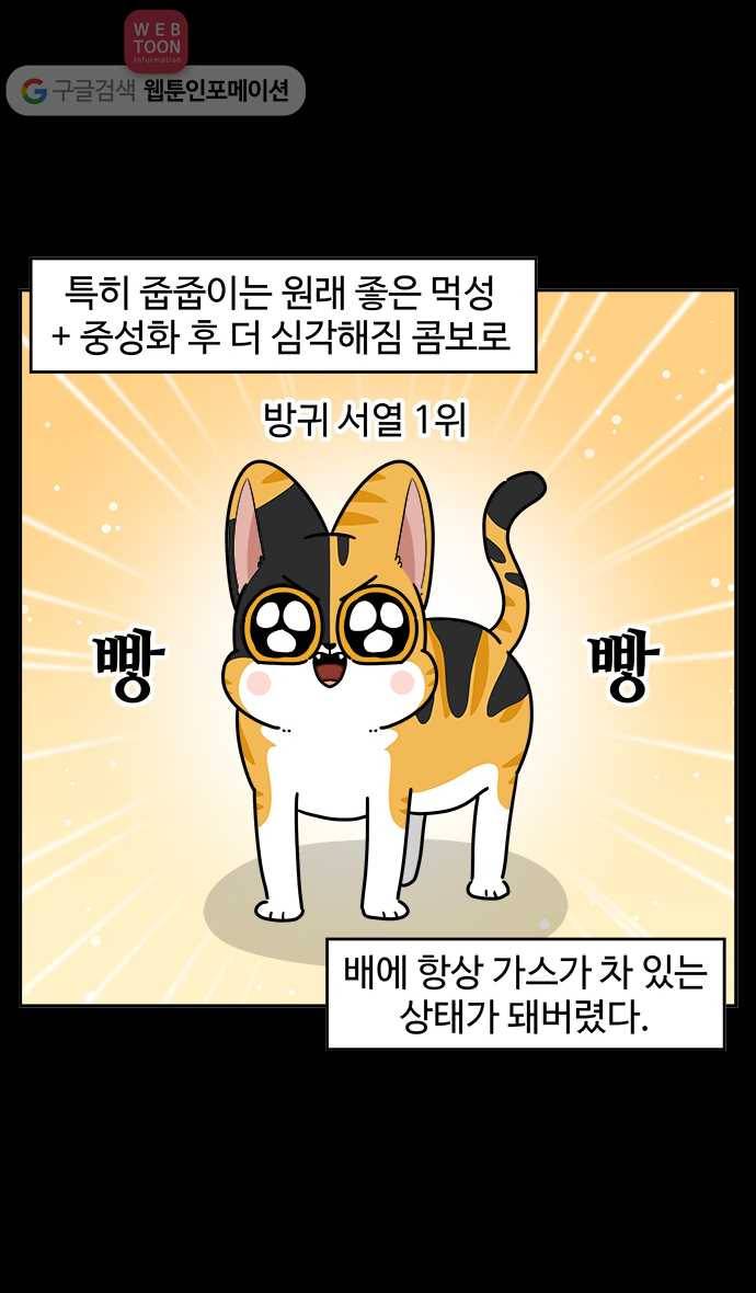 노곤하개 시즌2 49화 멍멍냥이의 방귀 3