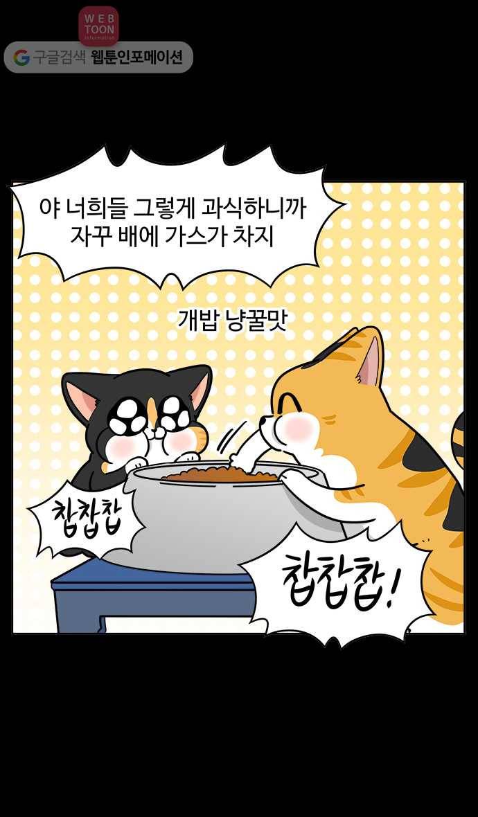 노곤하개 시즌2 49화 멍멍냥이의 방귀 15