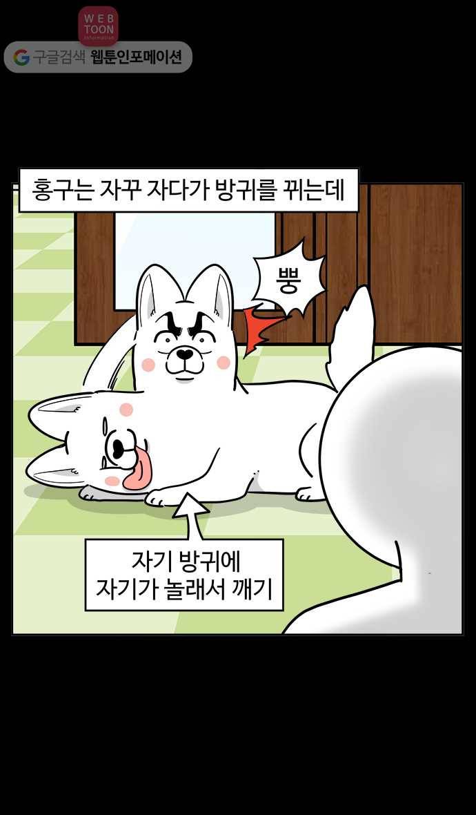 노곤하개 시즌2 49화 멍멍냥이의 방귀 18