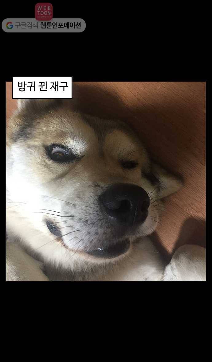 노곤하개 시즌2 49화 멍멍냥이의 방귀 23