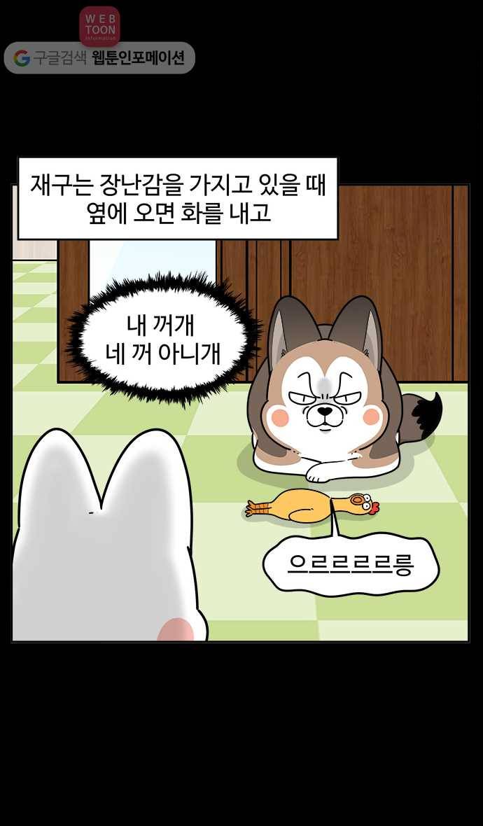 노곤하개 시즌2 55화 멍멍 냥이의 자리싸움 3