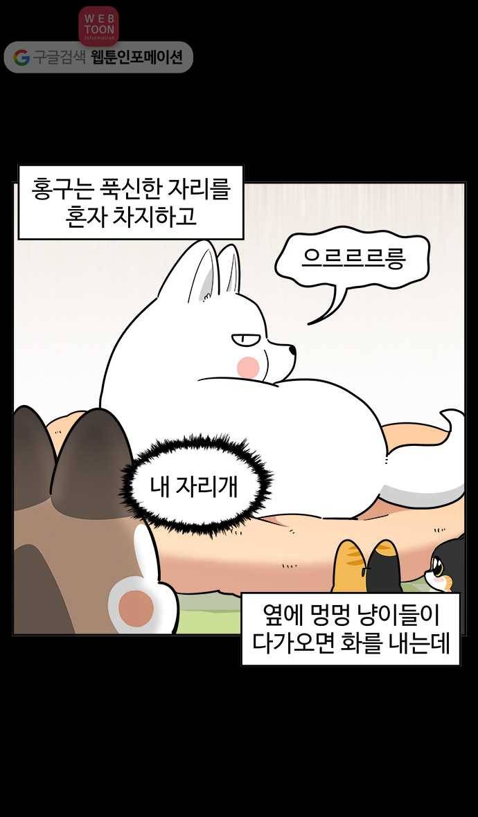 노곤하개 시즌2 55화 멍멍 냥이의 자리싸움 4