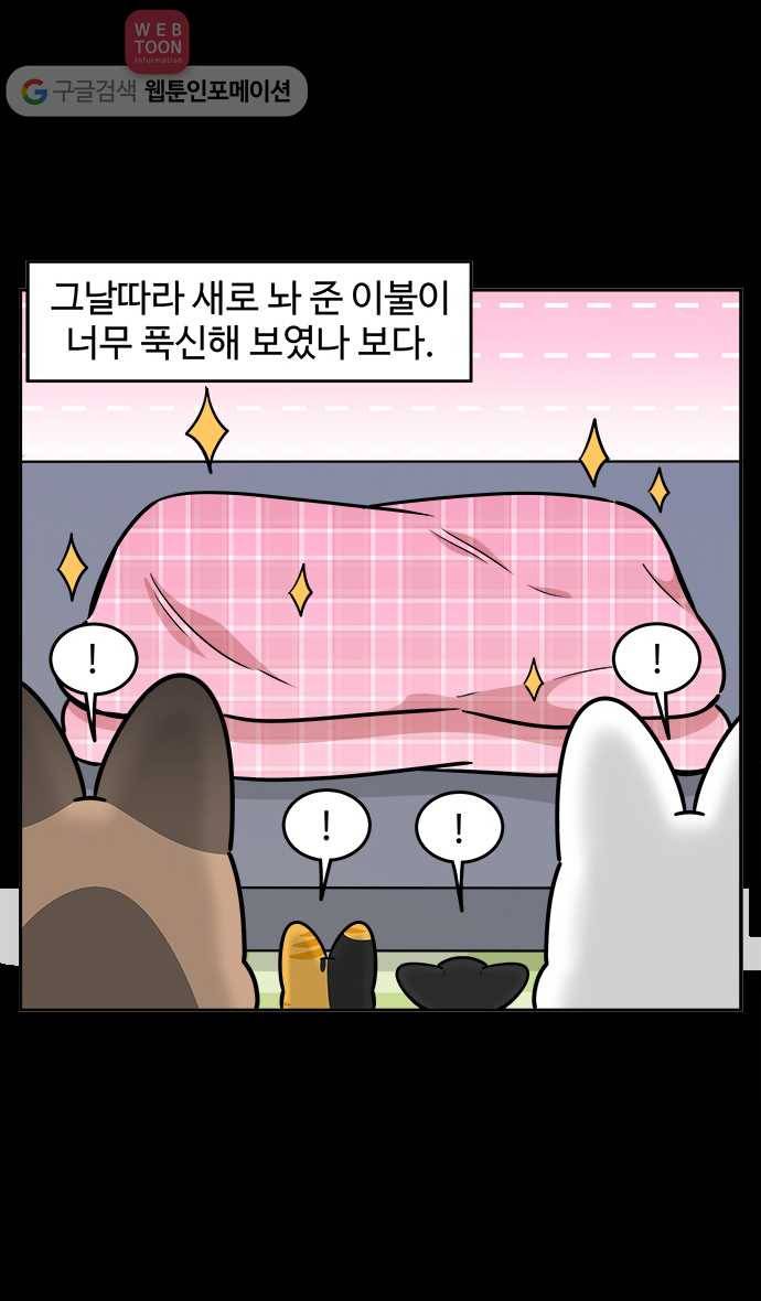 노곤하개 시즌2 55화 멍멍 냥이의 자리싸움 5