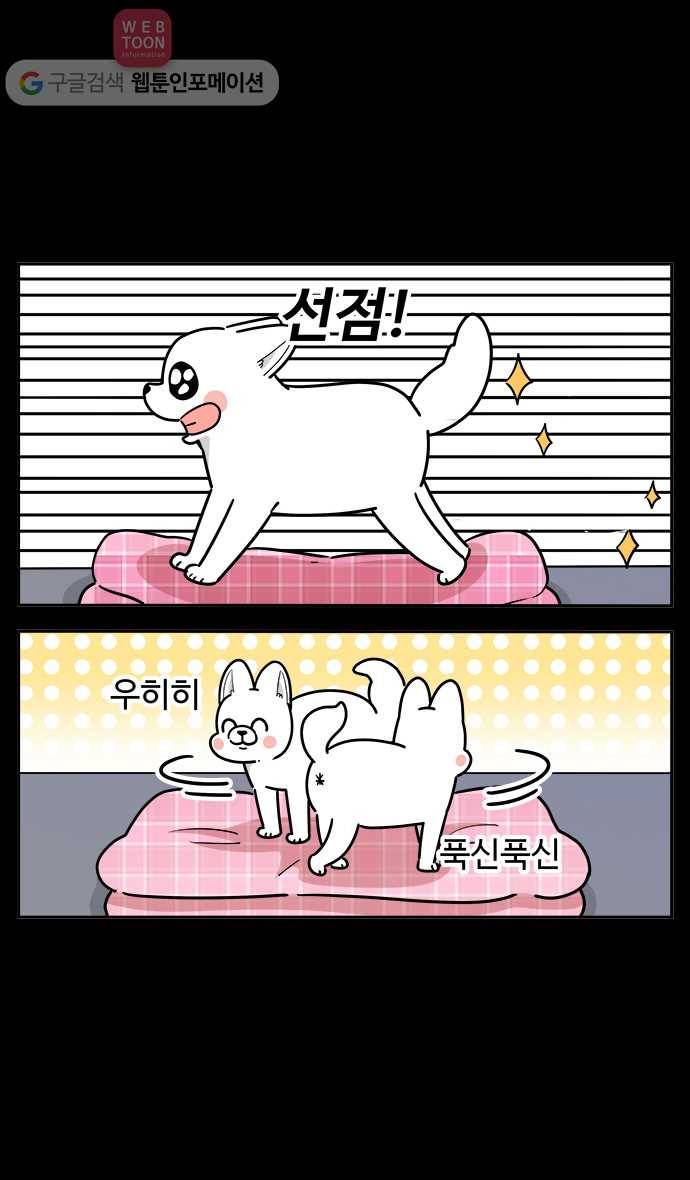 노곤하개 시즌2 55화 멍멍 냥이의 자리싸움 6