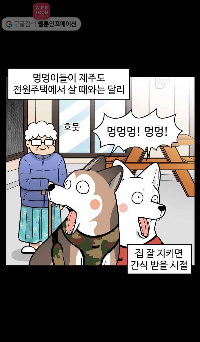 노곤하개 시즌2 74화 멍냥이와 집에 오는 사람들 2