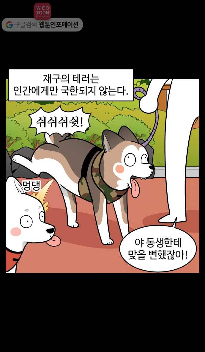 노곤하개 시즌2 81화 테러 멍 재구 9