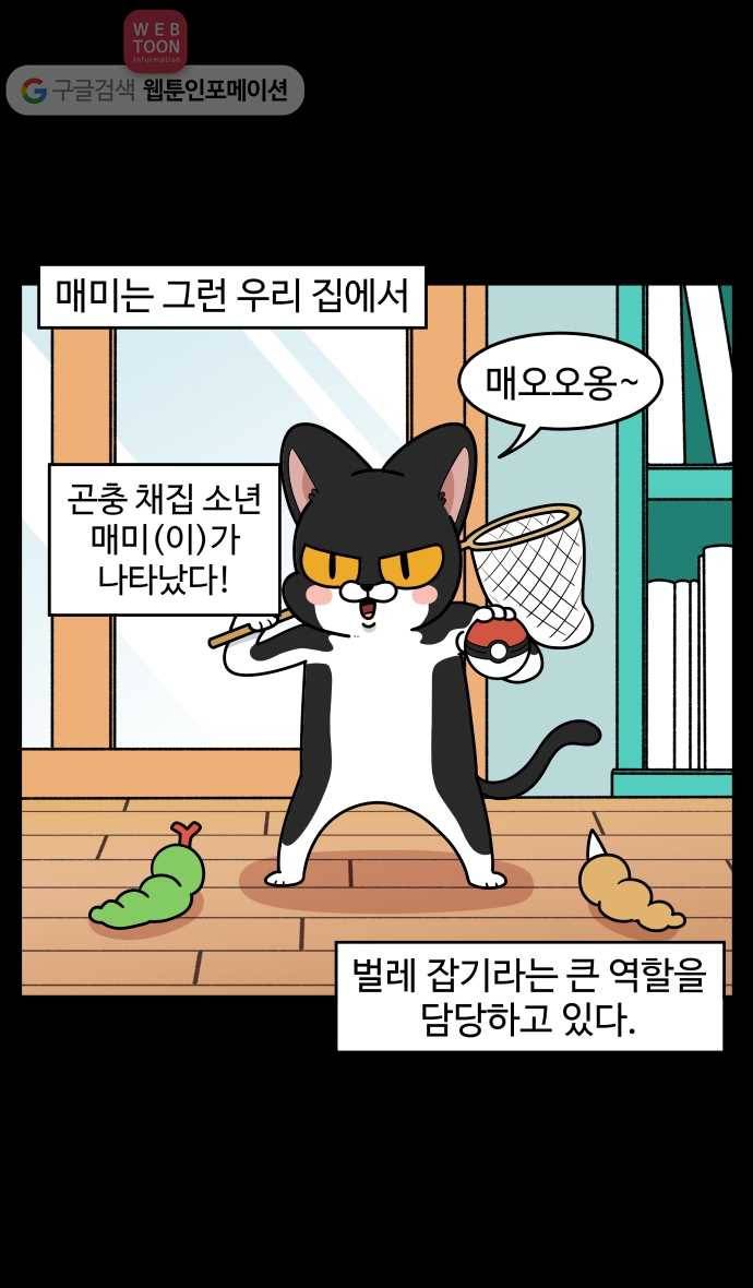노곤하개 시즌2 94화 멍냥이와 벌레 4