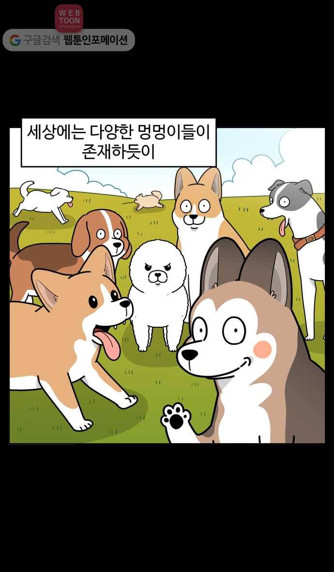 노곤하개 시즌3 2화 다시 돌아온 제주도(2) 2