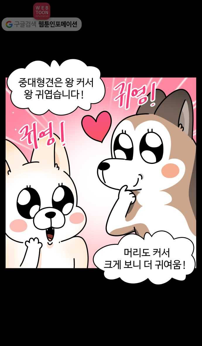 노곤하개 시즌3 12화 중 대형견을 키운다는 것 3