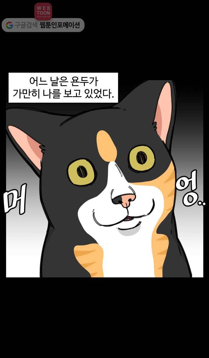 노곤하개 시즌3 22화 멍냥이와 발톱 2