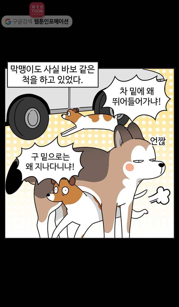 노곤하개 시즌3 32화 지니어스 막맹 4
