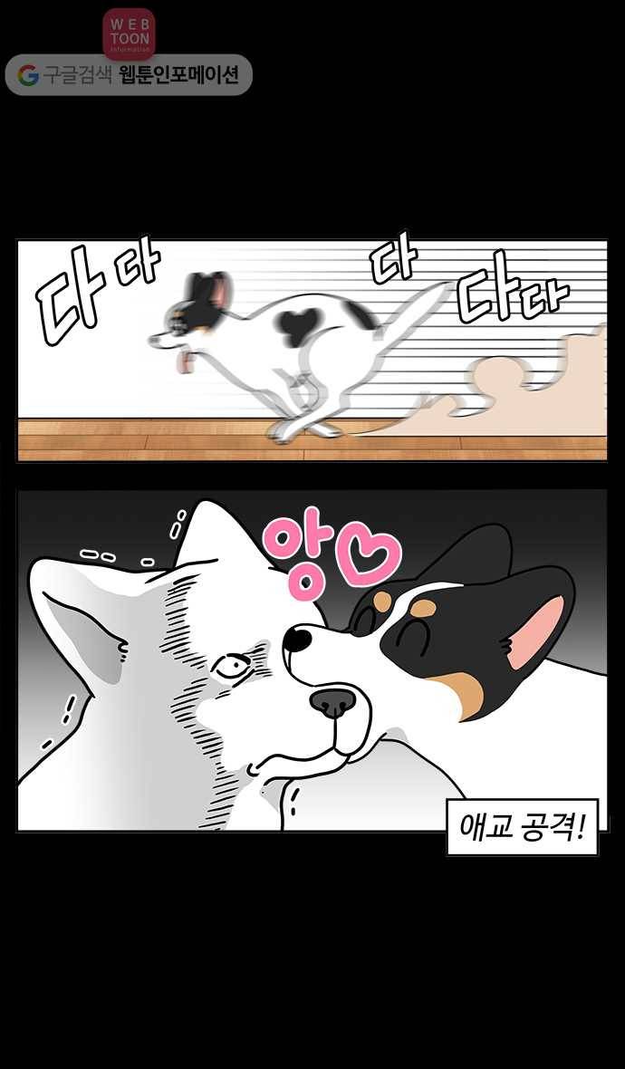 노곤하개 시즌4 프롤로그 10