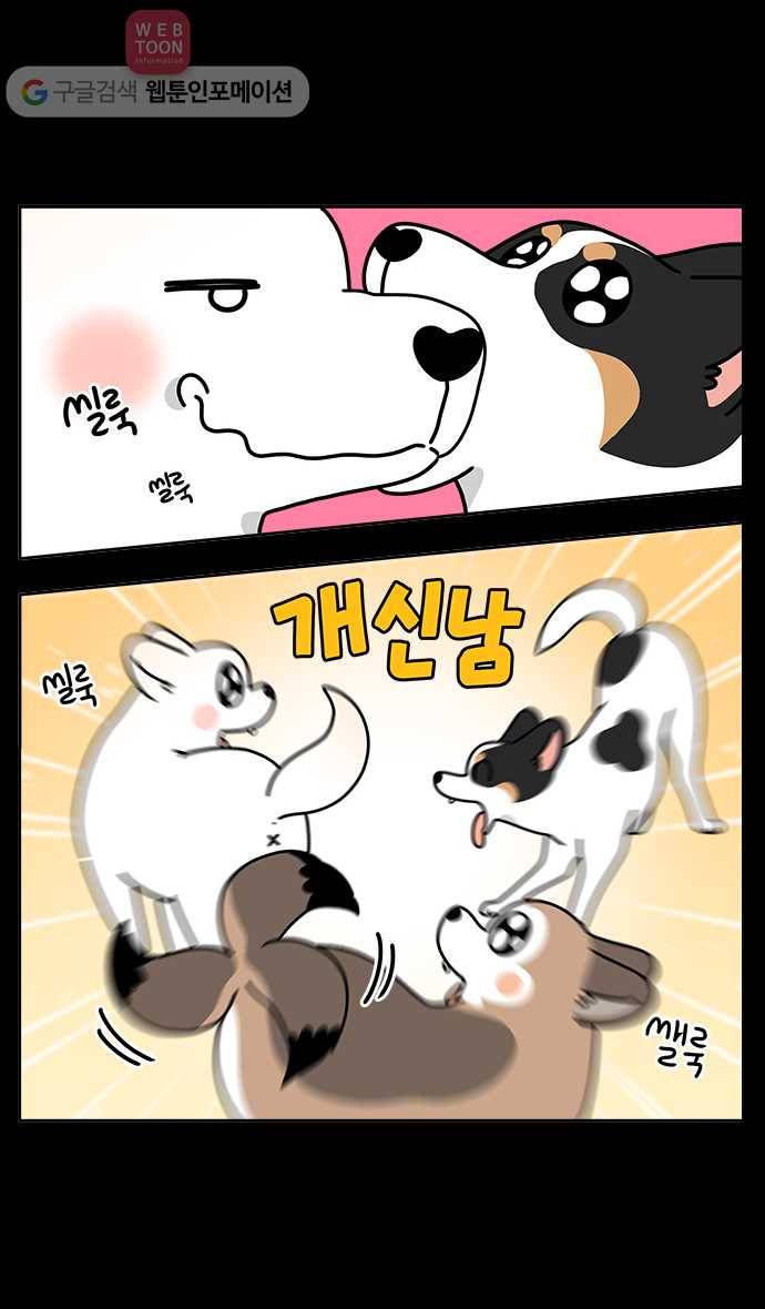 노곤하개 시즌4 프롤로그 11