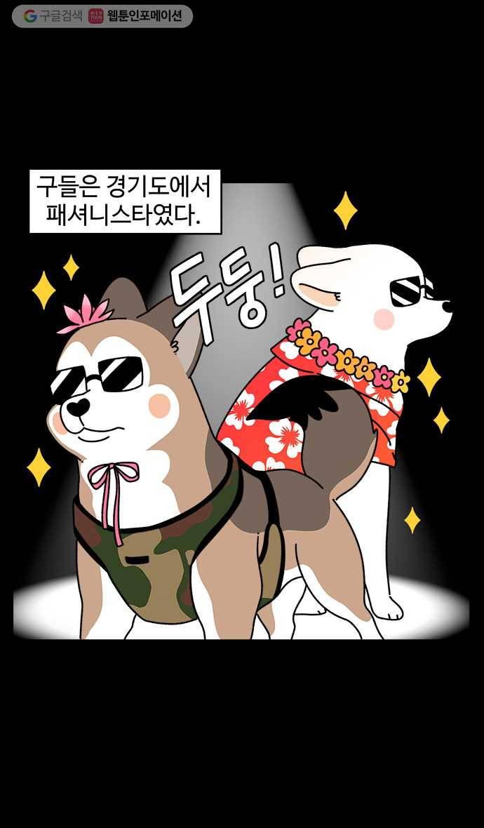 노곤하개 시즌4 17화 시골 산책과 도시 산책 2