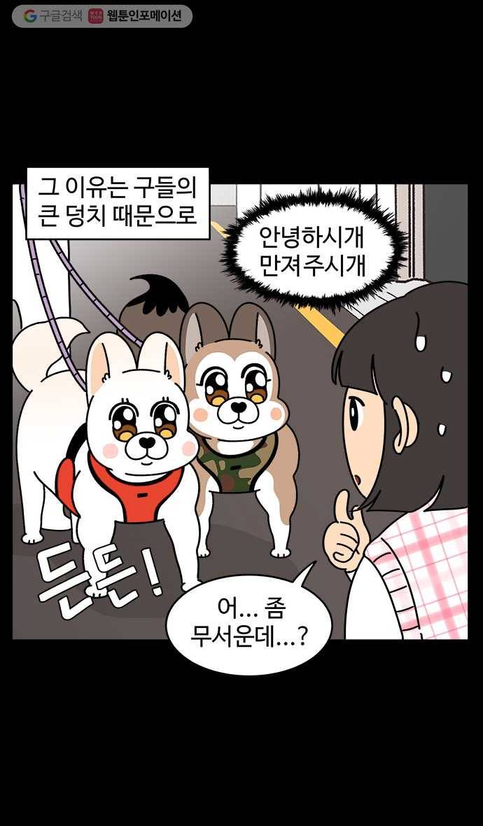 노곤하개 시즌4 17화 시골 산책과 도시 산책 3