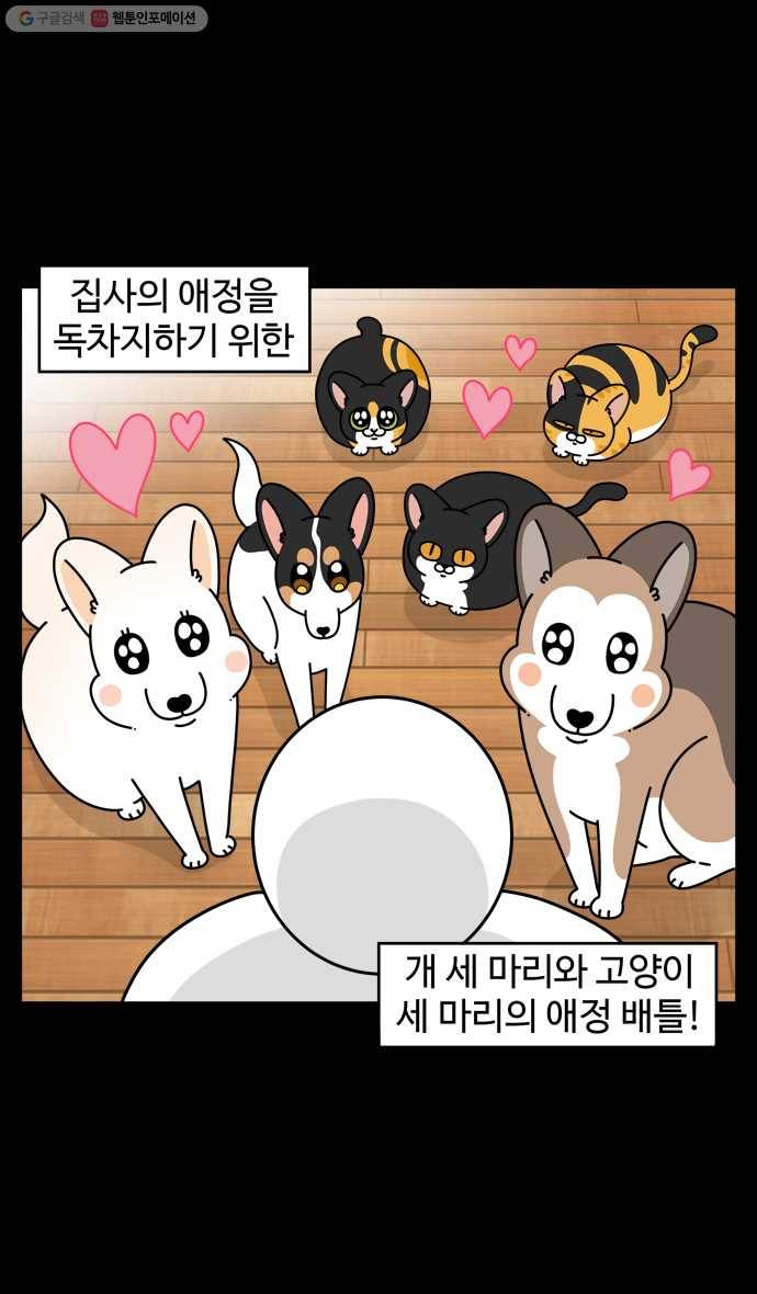 노곤하개 시즌4 30화 간식 배틀 2