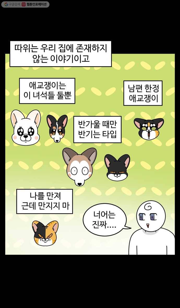 노곤하개 시즌4 30화 간식 배틀 3