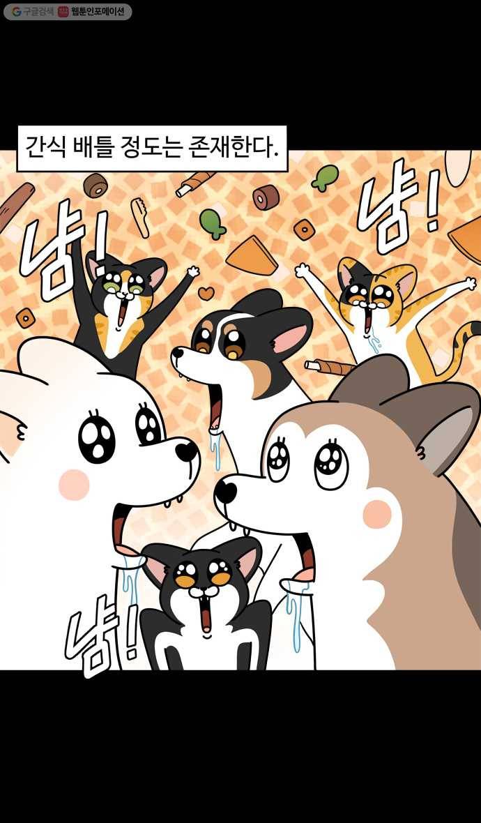 노곤하개 시즌4 30화 간식 배틀 4
