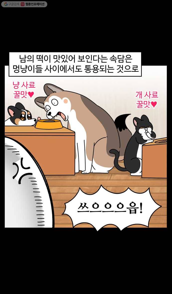 노곤하개 시즌4 30화 간식 배틀 5