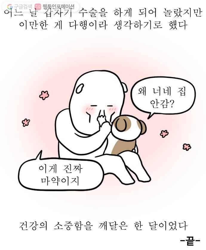독립일기 50화 응급실 실려가서 수술받은 썰 푼다 (끝) 20