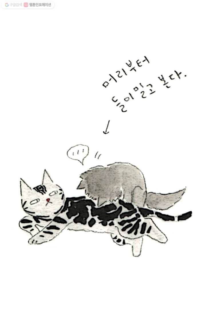 은동은동+옹동스 17화. 머리했어요 5