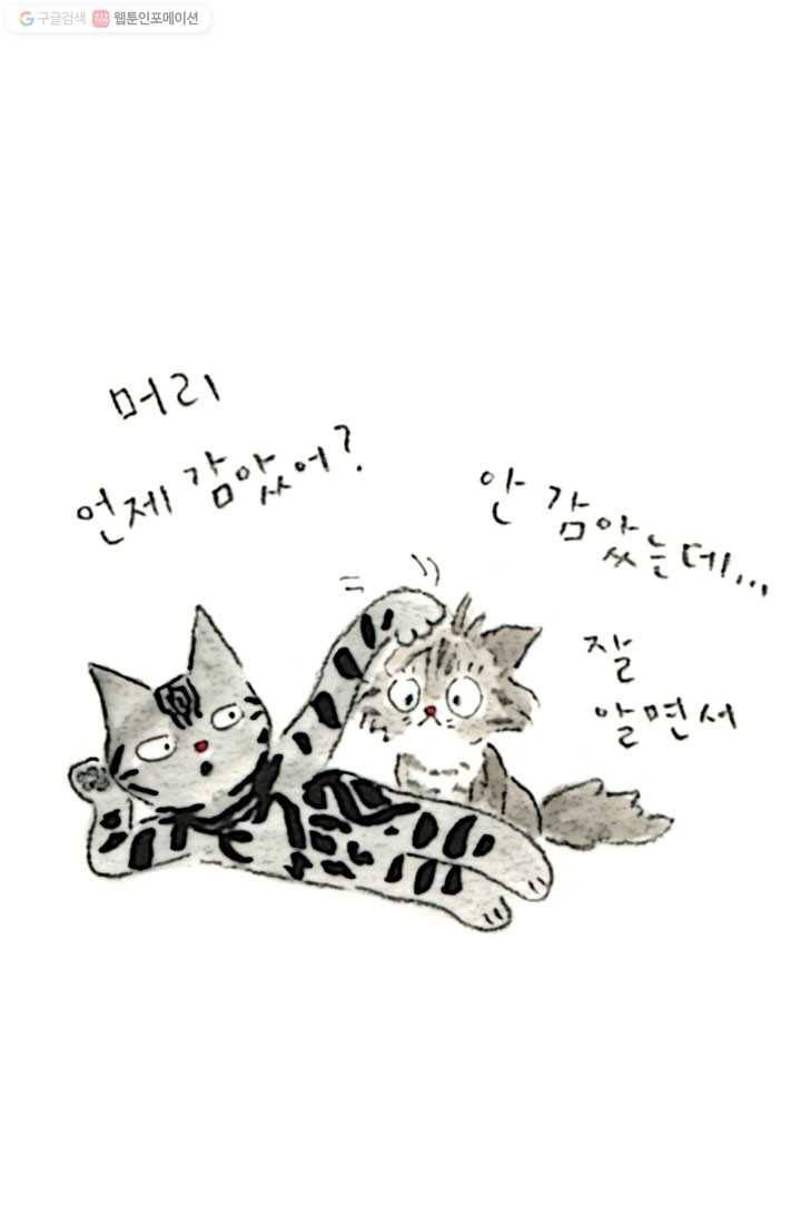 은동은동+옹동스 17화. 머리했어요 6