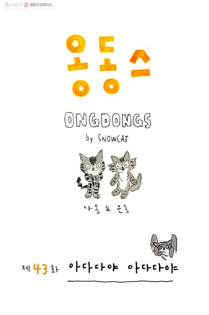 은동은동+옹동스 43화. 아다다야 아다다야 1
