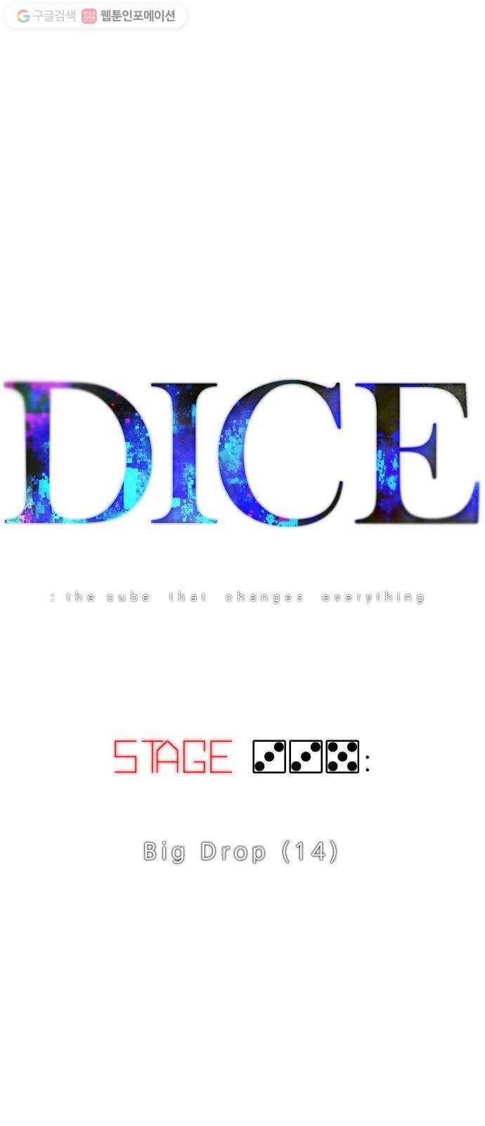 다이스(DICE) STAGE 335 Big Drop (14) 1