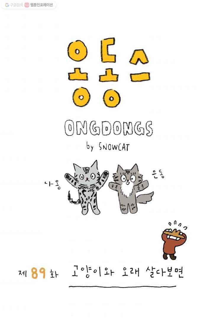 은동은동+옹동스 89화. 고양이와 오래 살다보면 1
