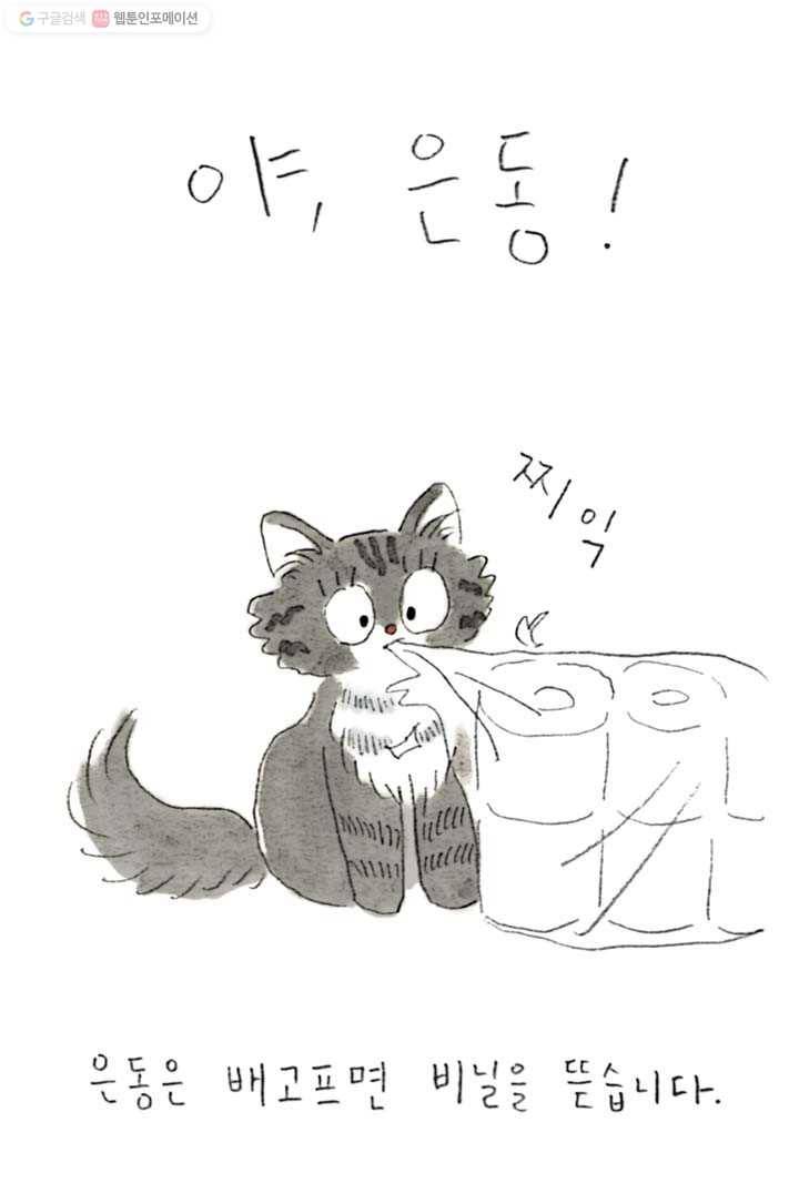은동은동+옹동스 89화. 고양이와 오래 살다보면 3