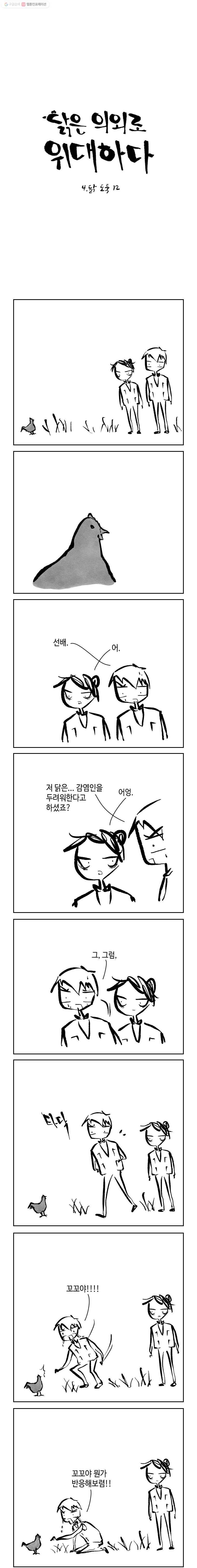 닭은 의외로 위대하다 4.닭 도둑 12 3