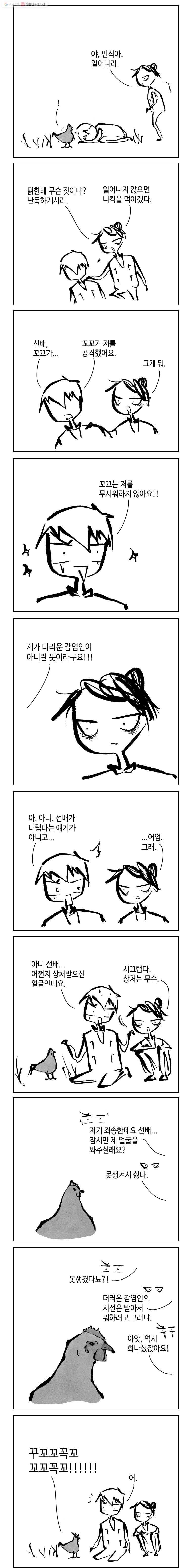 닭은 의외로 위대하다 4.닭 도둑 12 6