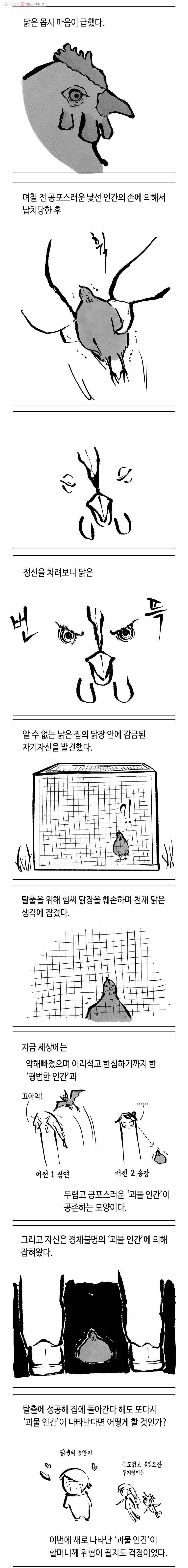 닭은 의외로 위대하다 4.닭 도둑 12 7
