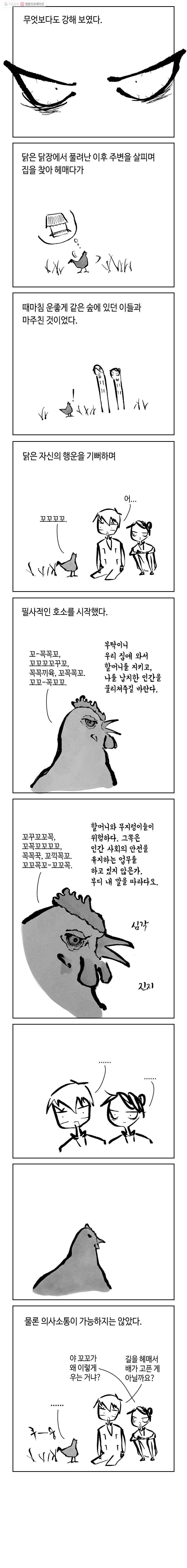 닭은 의외로 위대하다 4.닭 도둑 12 9
