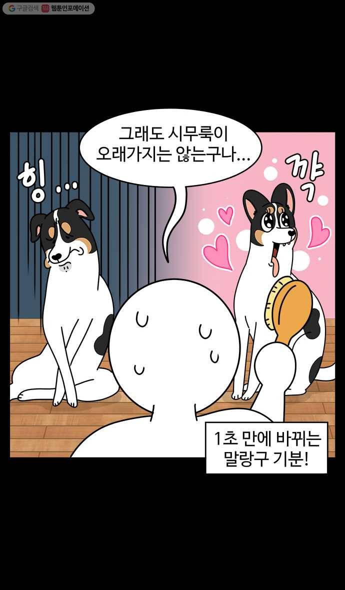 노곤하개 시즌4 34화 시무룩 강아지 말랑구 5