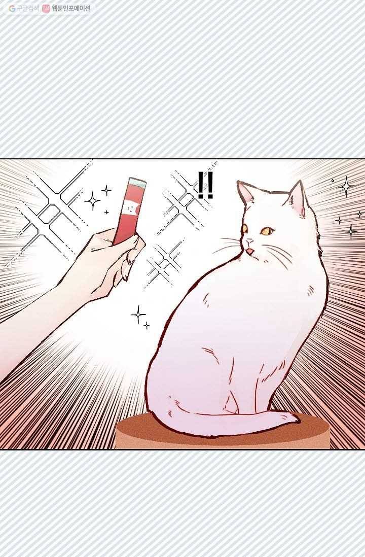고양이 신부 41화 8