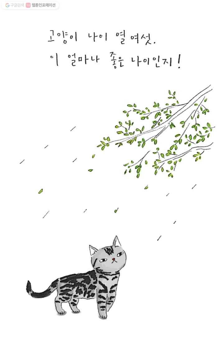 은동은동+옹동스 106화. 고양이 나이 열 여섯 6