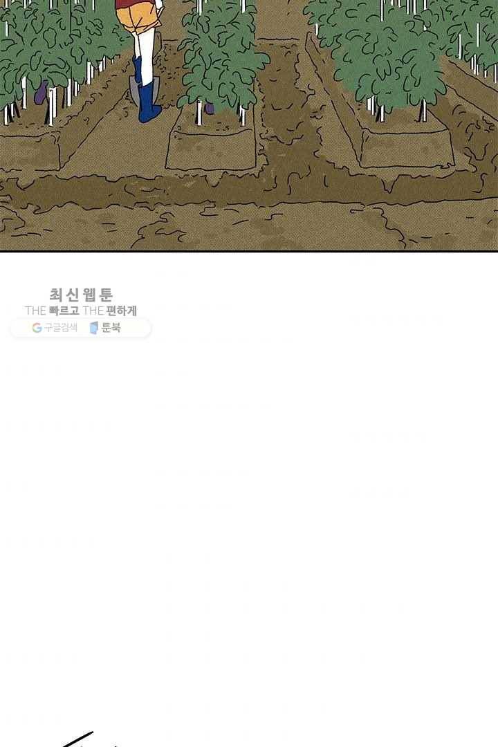 밀과 보리가 자란다 30화 4