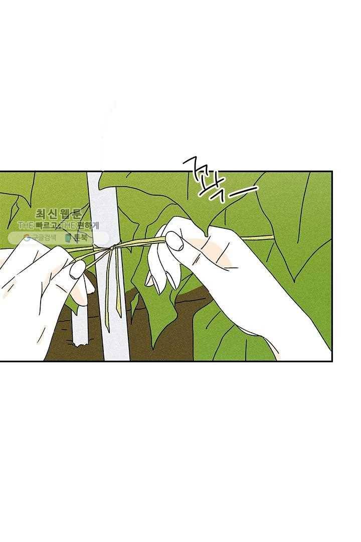 밀과 보리가 자란다 30화 14