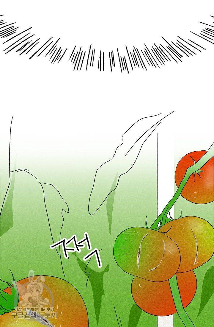 밀과 보리가 자란다 62화 6